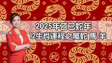 2025年生肖運程蛇